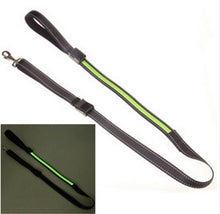 Solar USB Rechargeable LED Night Safety Glow Pet Collar