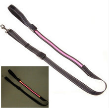 Solar USB Rechargeable LED Night Safety Glow Pet Collar