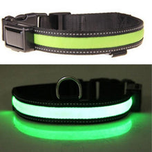 Solar USB Rechargeable LED Night Safety Glow Pet Collar
