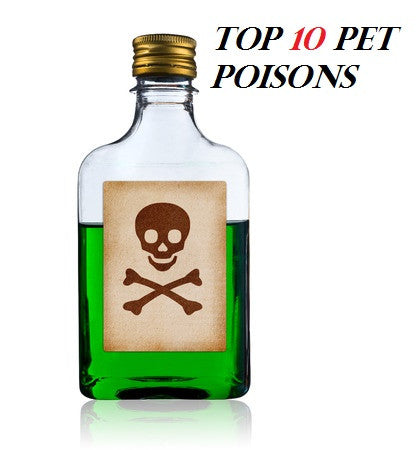 Pet Poison Prevention -Top 10 Poisons of 2016