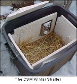 Out Door Cat Shelters for Winter