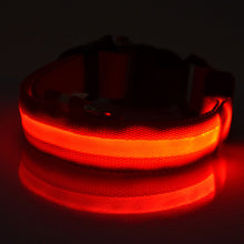 LED Night Safety Dog Collar