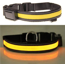 Solar USB Rechargeable LED Night Safety Glow Pet Collar